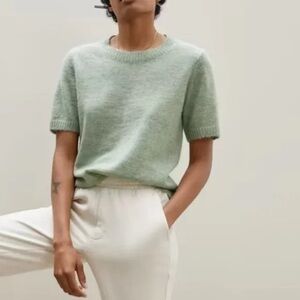 Everlane Alpaca Sweater Tee